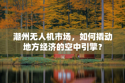 潮州无人机市场，如何撬动地方经济的空中引擎？