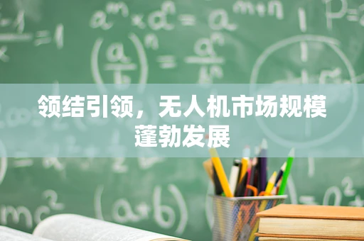 领结引领，无人机市场规模蓬勃发展