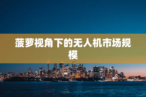 菠萝视角下的无人机市场规模
