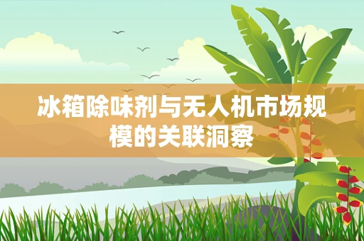 冰箱除味剂与无人机市场规模的关联洞察