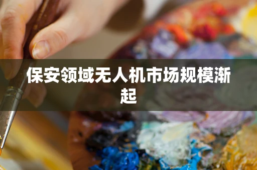 保安领域无人机市场规模渐起