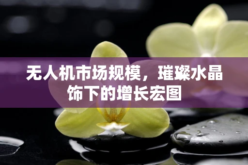 无人机市场规模，璀璨水晶饰下的增长宏图