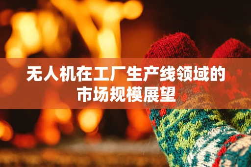 无人机在工厂生产线领域的市场规模展望