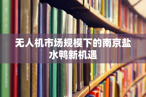 无人机市场规模下的南京盐水鸭新机遇