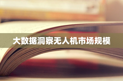 大数据洞察无人机市场规模