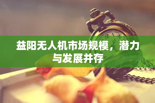 益阳无人机市场规模，潜力与发展并存