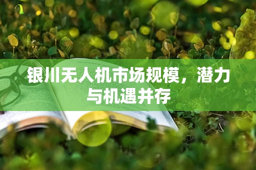 银川无人机市场规模，潜力与机遇并存
