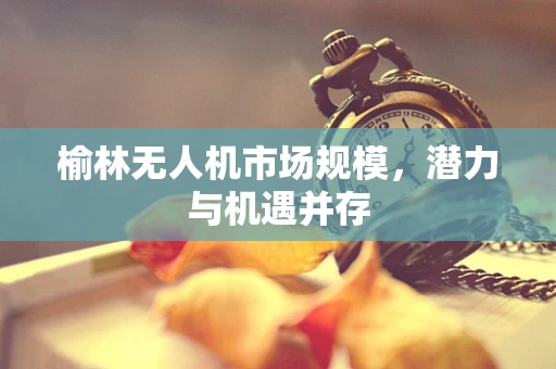 榆林无人机市场规模，潜力与机遇并存