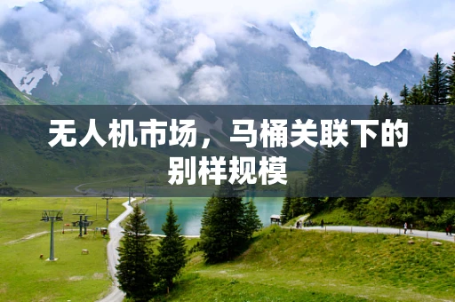 无人机市场，马桶关联下的别样规模