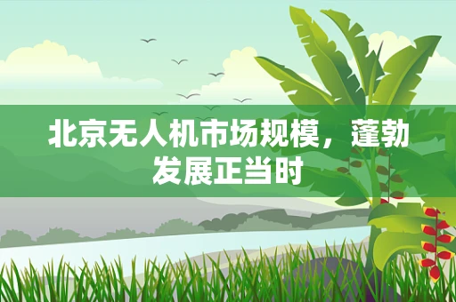 北京无人机市场规模，蓬勃发展正当时