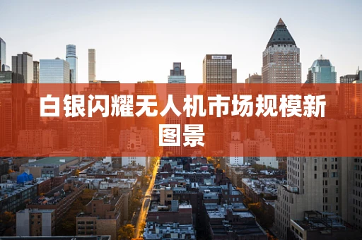 白银闪耀无人机市场规模新图景