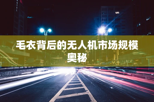 毛衣背后的无人机市场规模奥秘