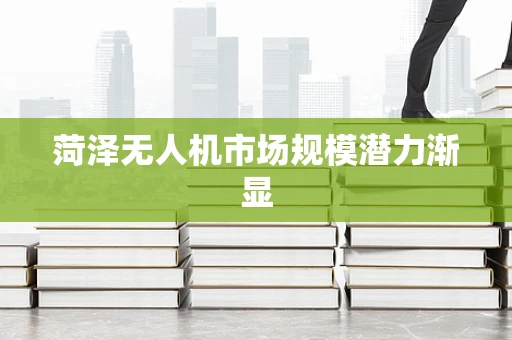 菏泽无人机市场规模潜力渐显