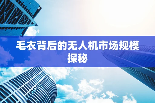 毛衣背后的无人机市场规模探秘