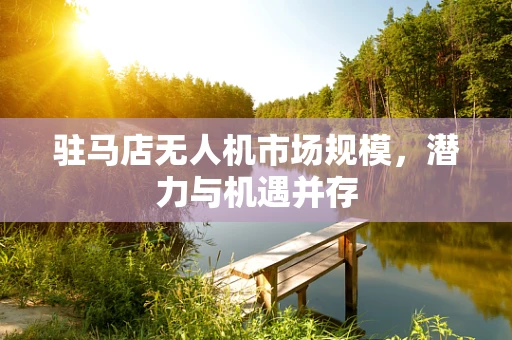 驻马店无人机市场规模，潜力与机遇并存