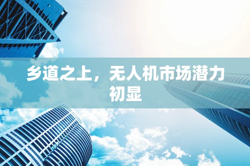 乡道之上，无人机市场潜力初显