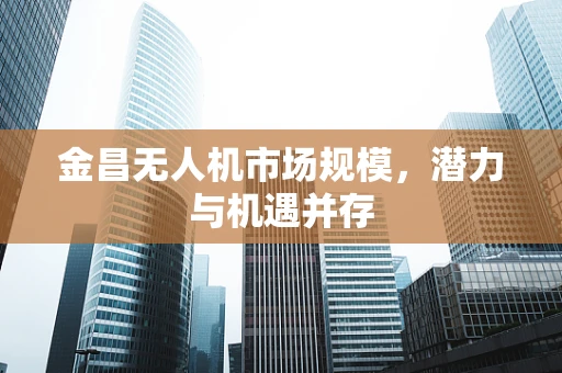 金昌无人机市场规模，潜力与机遇并存