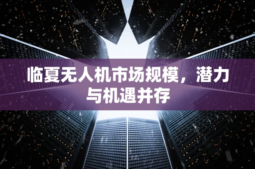 临夏无人机市场规模，潜力与机遇并存