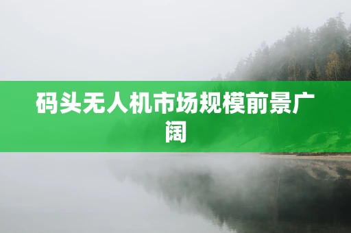 码头无人机市场规模前景广阔