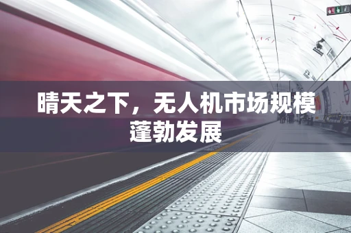 晴天之下，无人机市场规模蓬勃发展