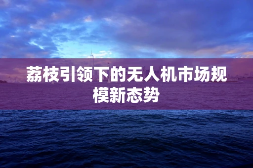 荔枝引领下的无人机市场规模新态势