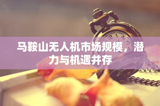 马鞍山无人机市场规模，潜力与机遇并存