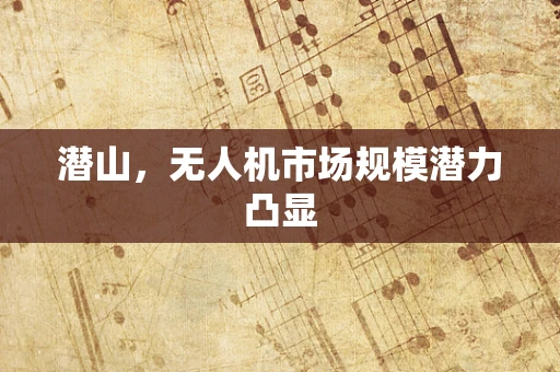 潜山，无人机市场规模潜力凸显