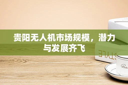 贵阳无人机市场规模，潜力与发展齐飞