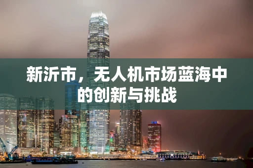新沂市，无人机市场蓝海中的创新与挑战