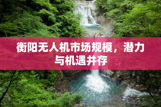 衡阳无人机市场规模，潜力与机遇并存