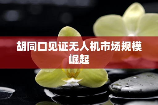 胡同口见证无人机市场规模崛起