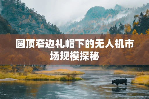 圆顶窄边礼帽下的无人机市场规模探秘