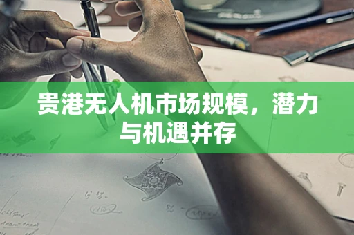 贵港无人机市场规模，潜力与机遇并存