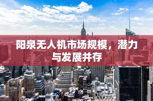 阳泉无人机市场规模，潜力与发展并存