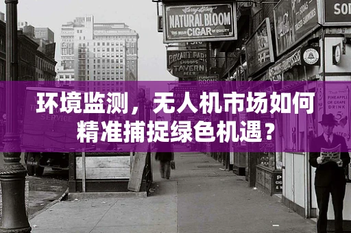 环境监测，无人机市场如何精准捕捉绿色机遇？