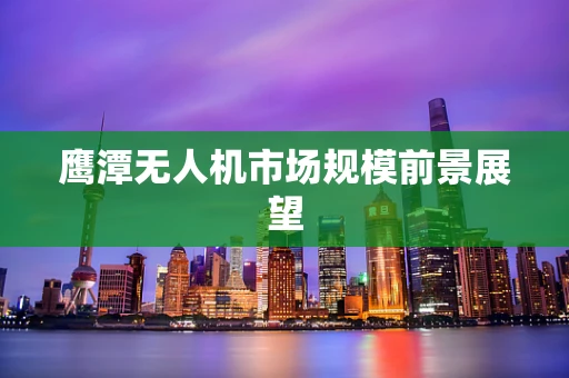 鹰潭无人机市场规模前景展望