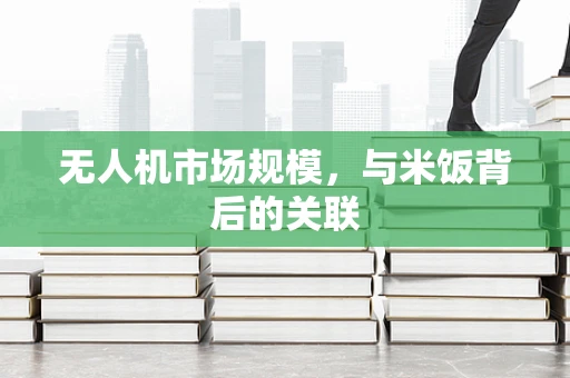 无人机市场规模，与米饭背后的关联