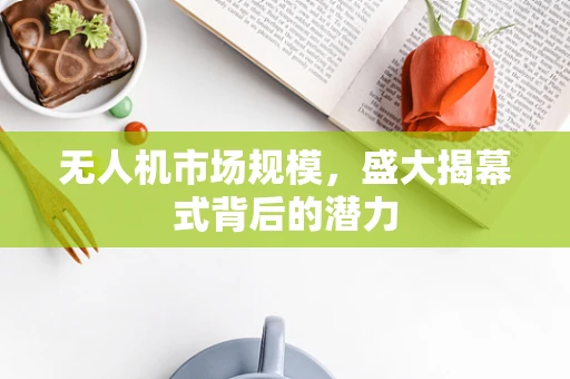 无人机市场规模，盛大揭幕式背后的潜力