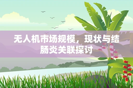 无人机市场规模，现状与结肠炎关联探讨