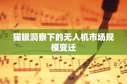 猫眼洞察下的无人机市场规模变迁