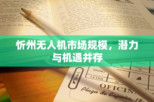忻州无人机市场规模，潜力与机遇并存