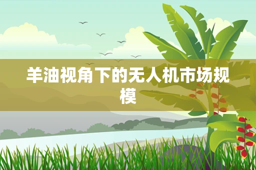 羊油视角下的无人机市场规模