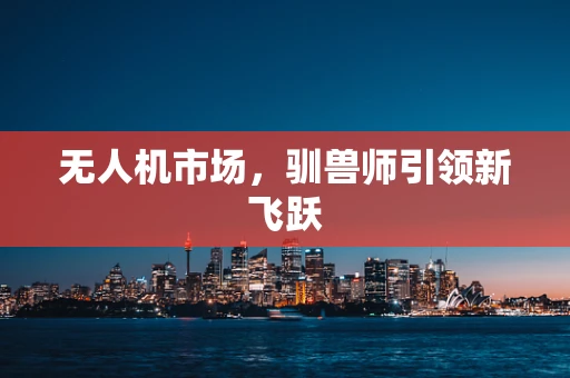 无人机市场，驯兽师引领新飞跃