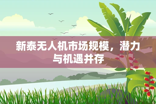 新泰无人机市场规模，潜力与机遇并存
