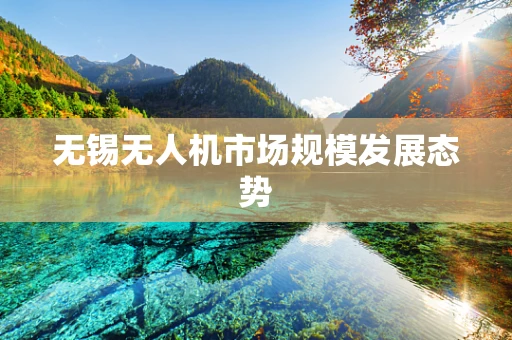 无锡无人机市场规模发展态势