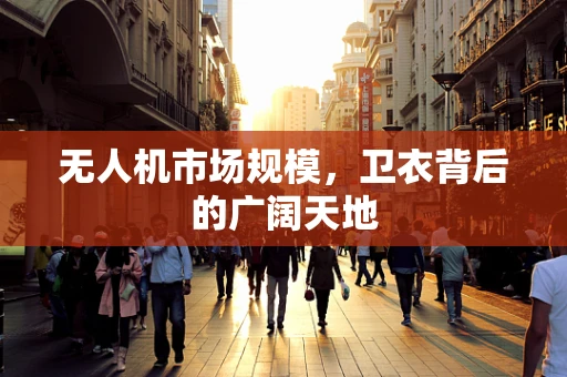 无人机市场规模，卫衣背后的广阔天地