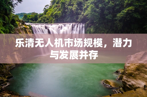 乐清无人机市场规模，潜力与发展并存