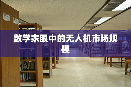 数学家眼中的无人机市场规模