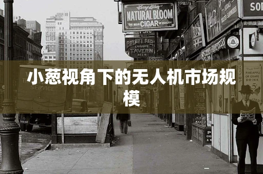 小葱视角下的无人机市场规模