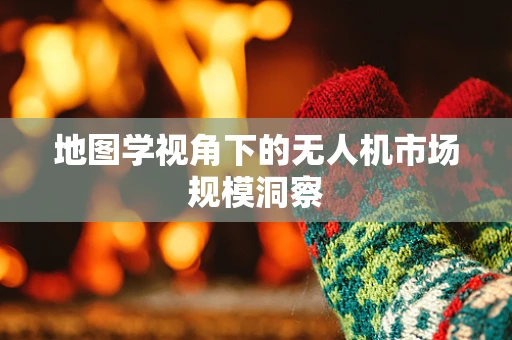 地图学视角下的无人机市场规模洞察